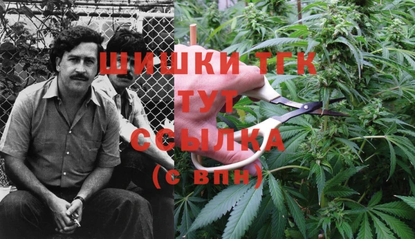 дурь Коряжма