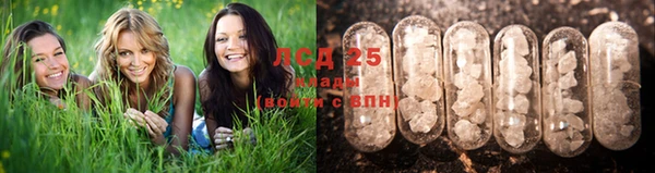 соль курить ск Костерёво