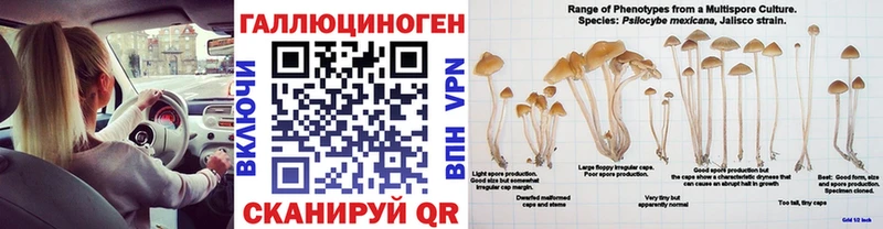 площадка состав  Альметьевск  Галлюциногенные грибы Psilocybe  купить закладку 