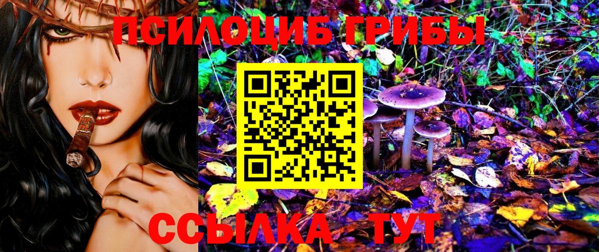 что такое   Галлюциногенные грибы мицелий  Альметьевск  Вход с VPN  Псилоцибиновые грибы мухоморы 