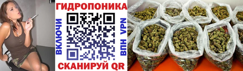 Каннабис план что такое Альметьевск